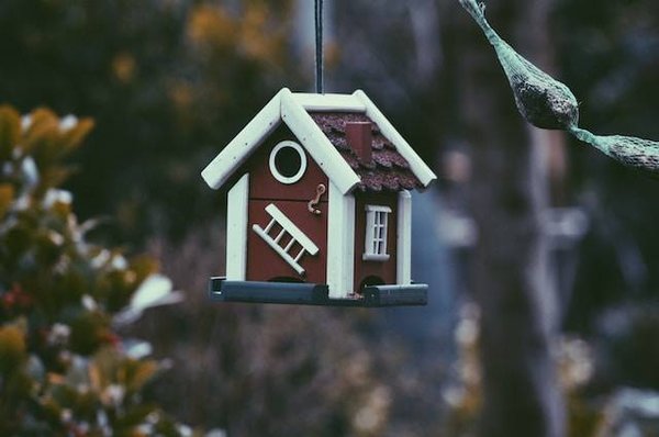 Investir dans un chalet à vendre à Demi Quartier, une bonne idée ?
